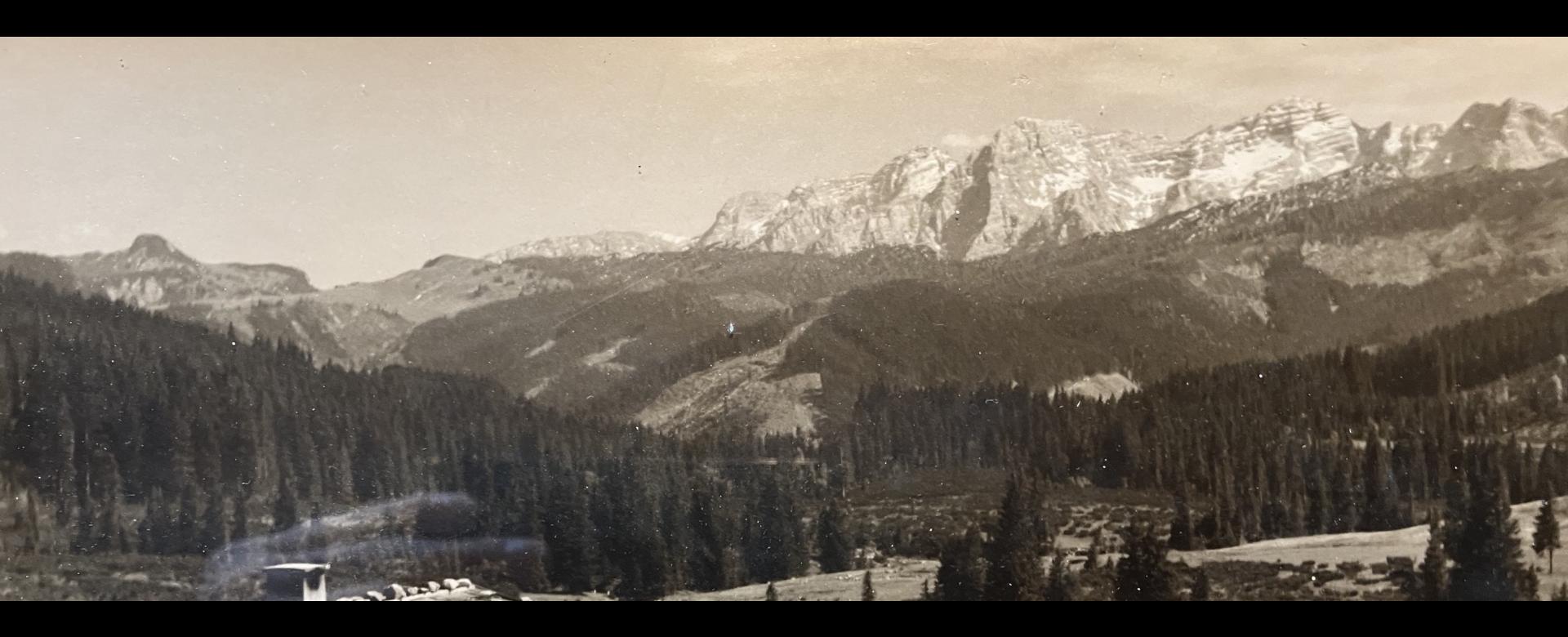 Ausblick Traunsteiner Hütte Winklmoos